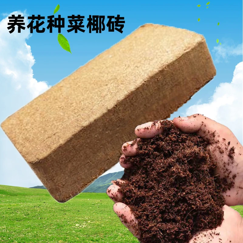 椰砖 营养土 养花种菜通用土