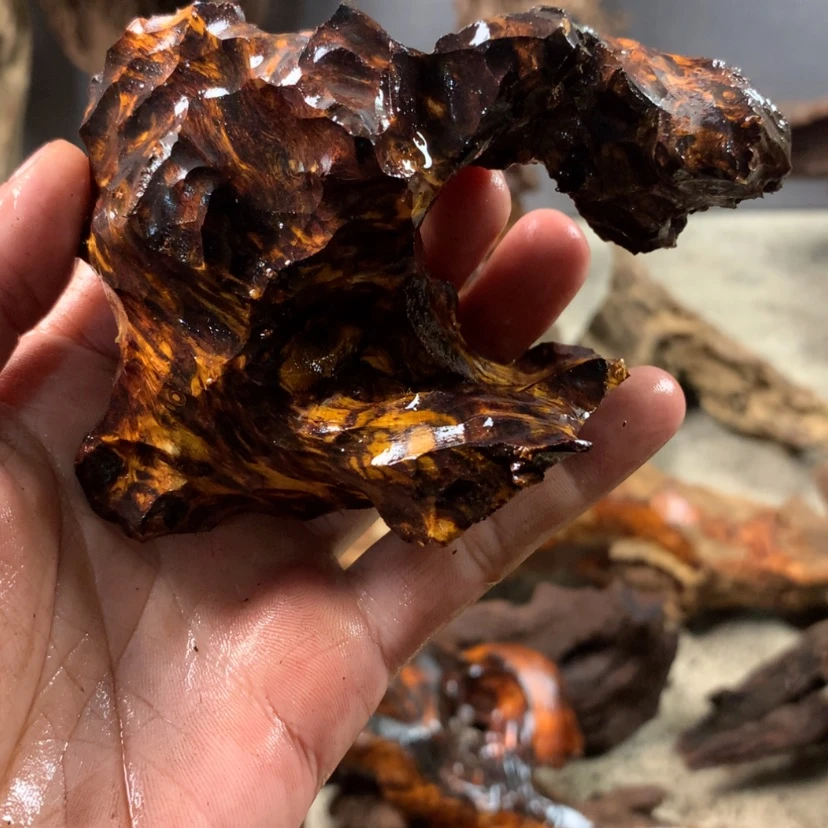 【闪购商品】香枝木根雕绿**翡