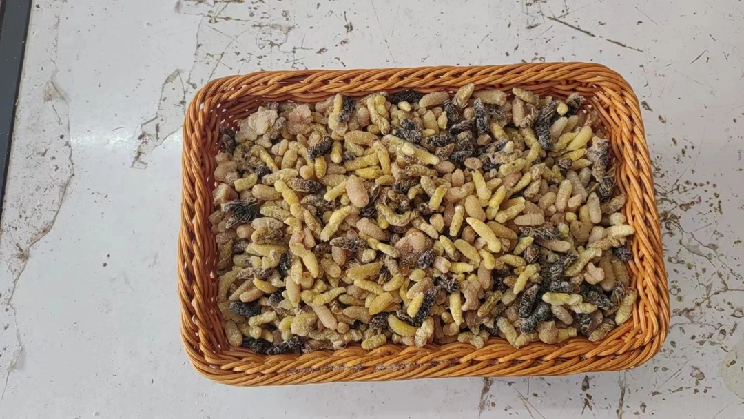 树蜂蛹统货1斤装包邮