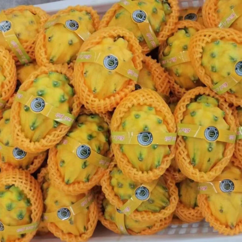 【顺丰】特大果 海南燕窝果麒麟果礼盒当季热带新鲜水果非黄火龙果