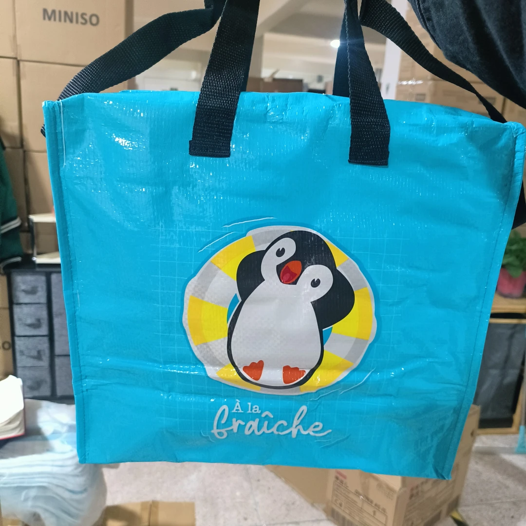 款式颜色不挑手提冰包