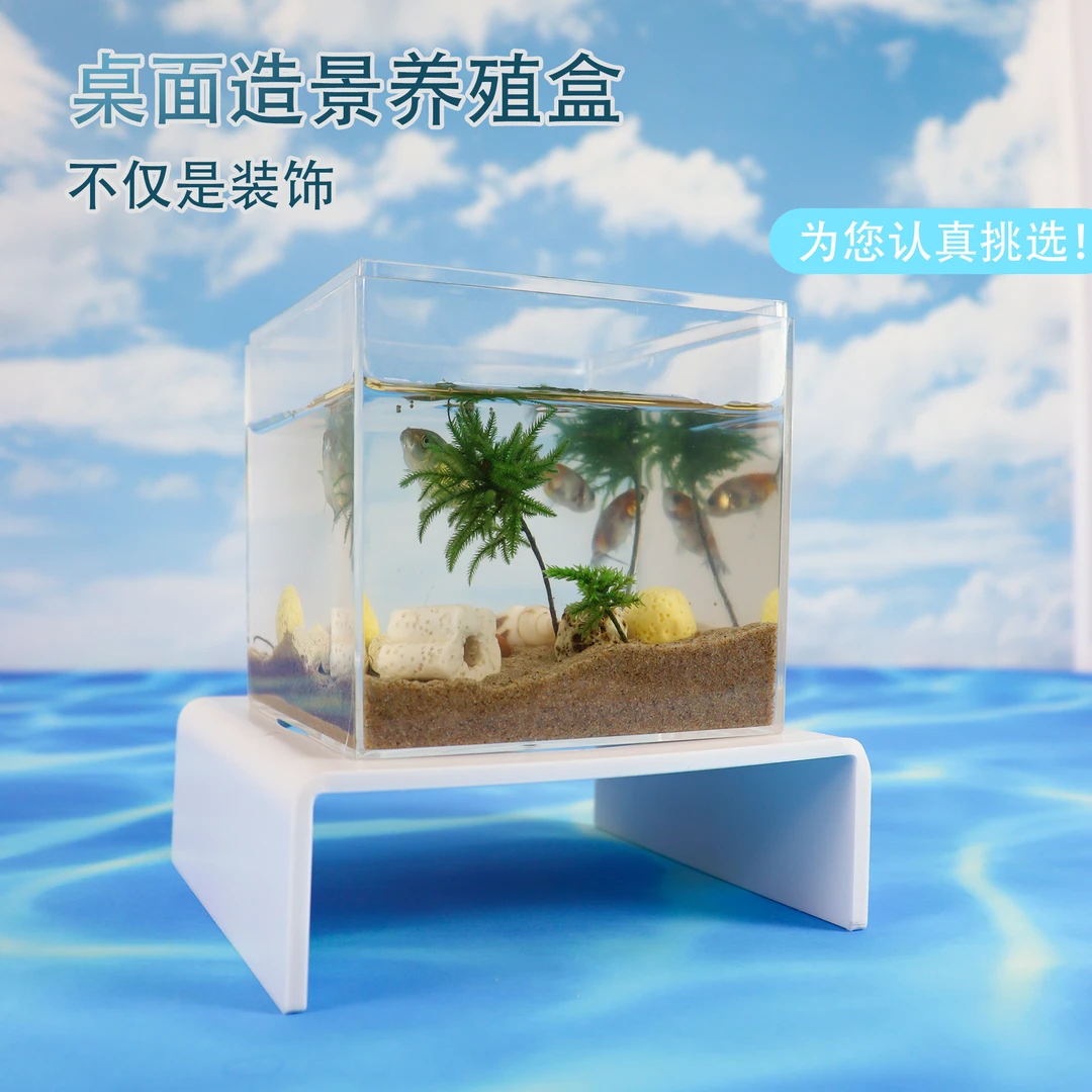 亚克力爬宠养鱼角蛙饲养螳螂螃蟹乌龟水陆双全养殖造景透明观察盒