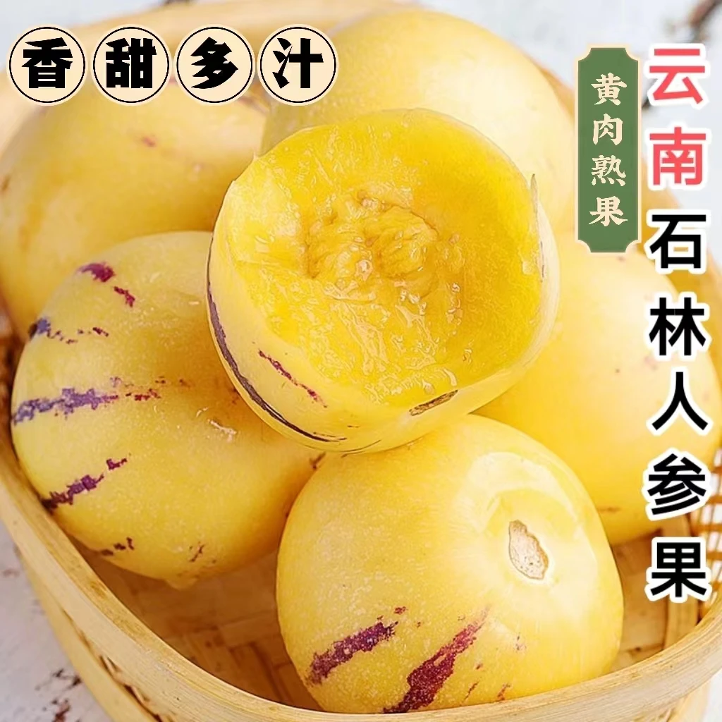 云南石林人参果树上熟黄肉3斤18-30个圆果清甜ad4-