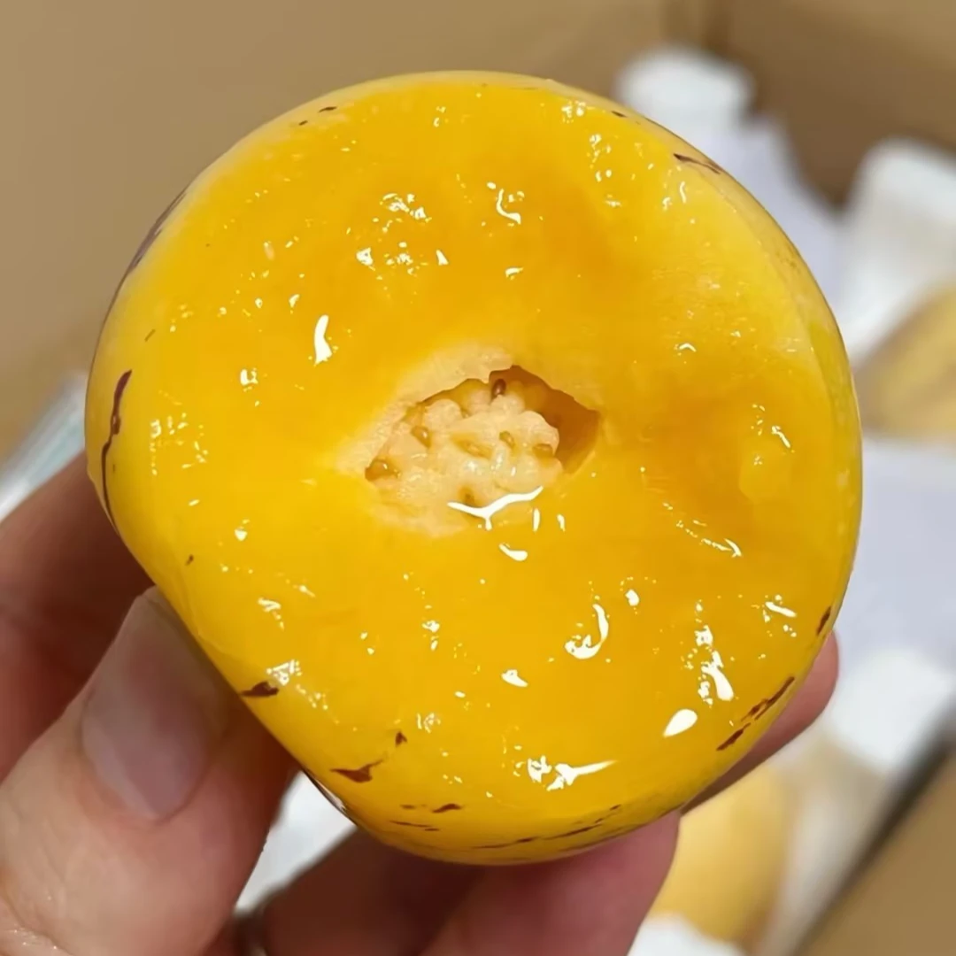 【树上熟】云南石林人参果黄肉圆果人生果清甜新鲜水果皮薄多汁