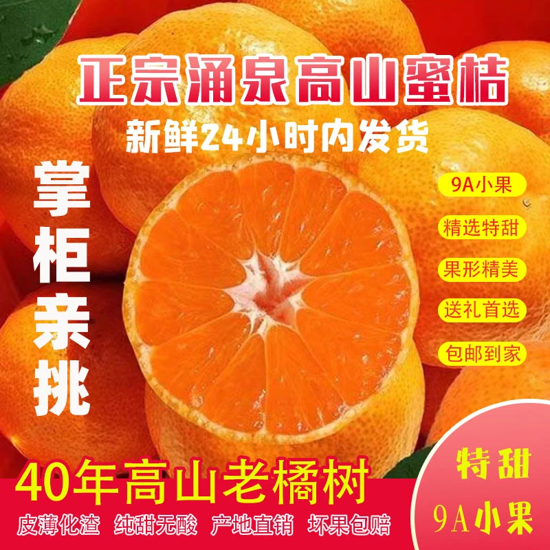 40年高山老橘树9A精品临海涌泉蜜桔皮薄无渣带皮吃果园直发包邮