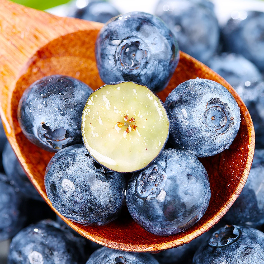 【当季限量版】8盒礼盒装LM顺丰京东蓝莓新鲜水果当季1盒60g共480g