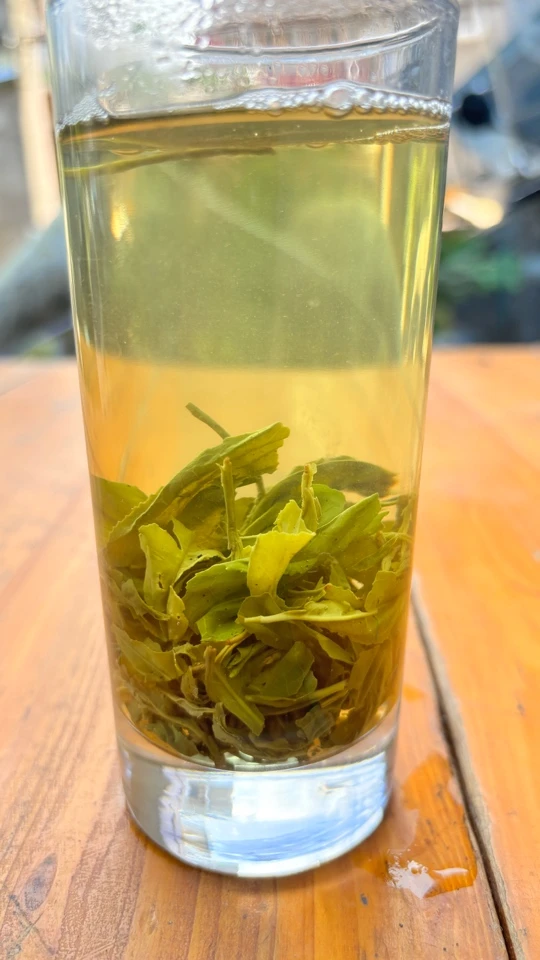 25年宜昌新茶绿茶高山云雾茶五峰绿茶粗茶味醇耐泡浓香28