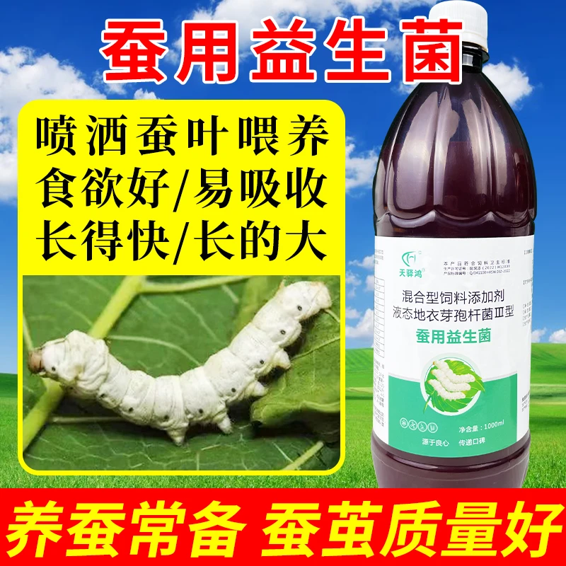 天驿鸿蚕用益生菌养蚕用肠道营养液柞蚕促生长防拉稀助消化添加剂
