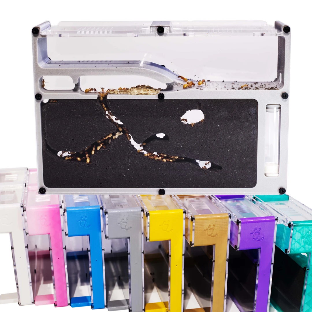 蚂蚁工坊自己挖天野侠套装含食物工具不含活体蚁巢生态屋