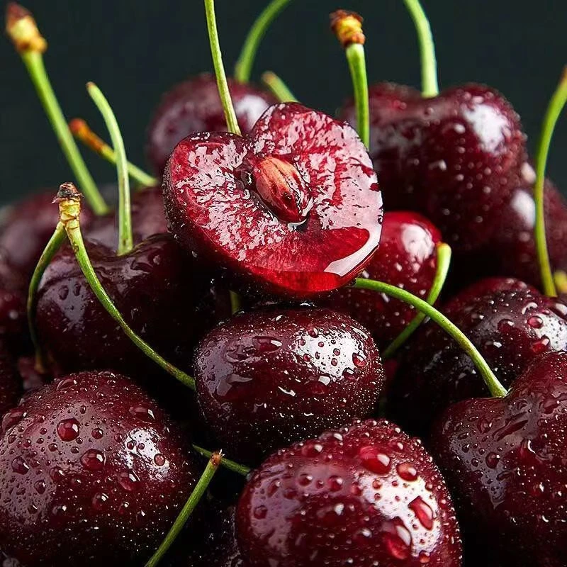 车厘子海运桑提娜智利进口J-4J 5斤原箱脆甜多汁CC2 内附果径卡