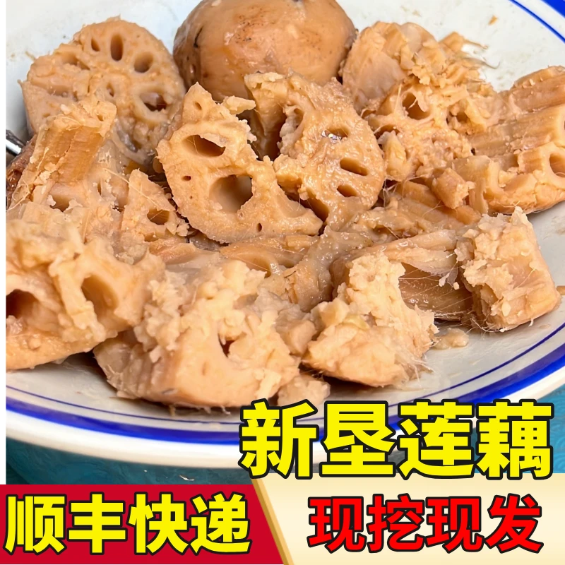 【煲汤粉藕】广东南沙莲藕粉藕新鲜蔬菜煲汤粉藕新鲜采挖