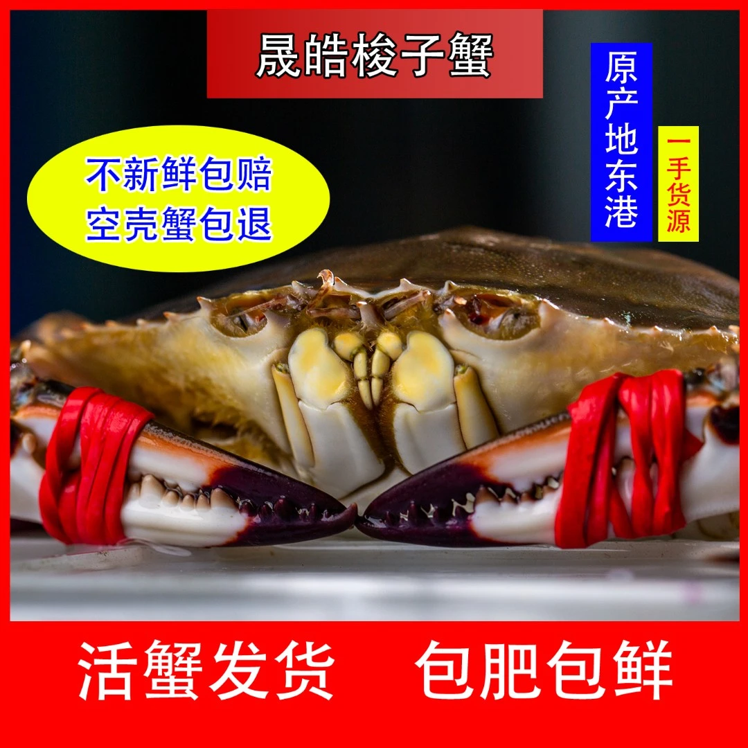 东港梭子蟹大母蟹【保鲜不保活】2斤/4只/4两上 顺丰空运