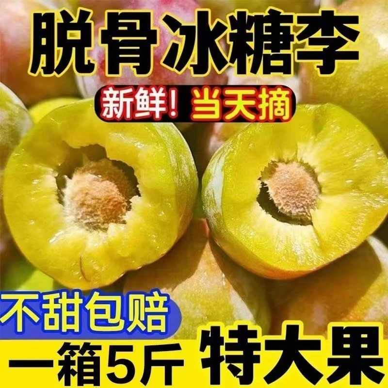 脱骨冰糖李李子大果冰糖甜度水嫩多汁儿时味道顺丰冷链