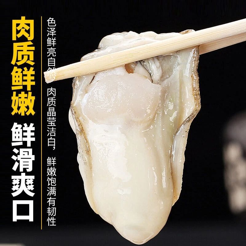 单只1斤以上 【买5斤送5斤】刺身级渤海湾生蚝 鲜活 清蒸送礼10斤