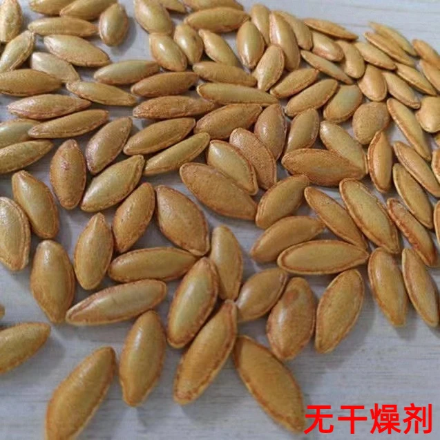 【净重1斤】正宗长粒美人甲南瓜子追剧小吃零食原味椒盐味袋装批发