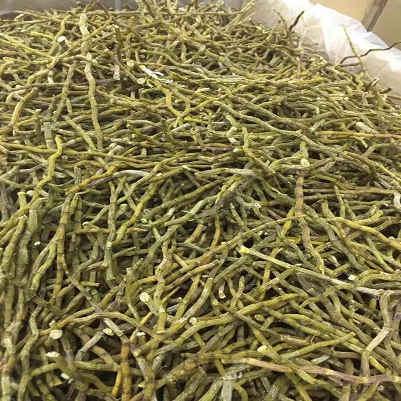 精选铁皮石斛条20g*5(百合干)