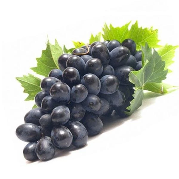 黑加仑黑提约1000g