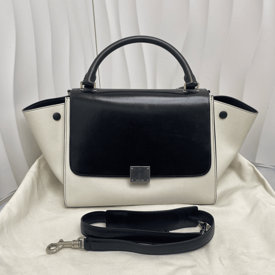 95新 Celine/思琳 赛琳 黑白拼色秋千手提斜挎包 单肩包 9020672