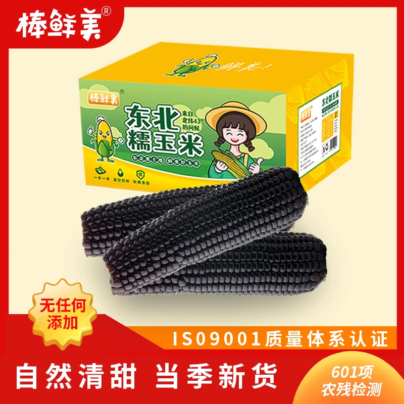 【棒鲜美玉米】东北黑糯玉米大棒8支240g以上软糯香甜低脂早餐代餐