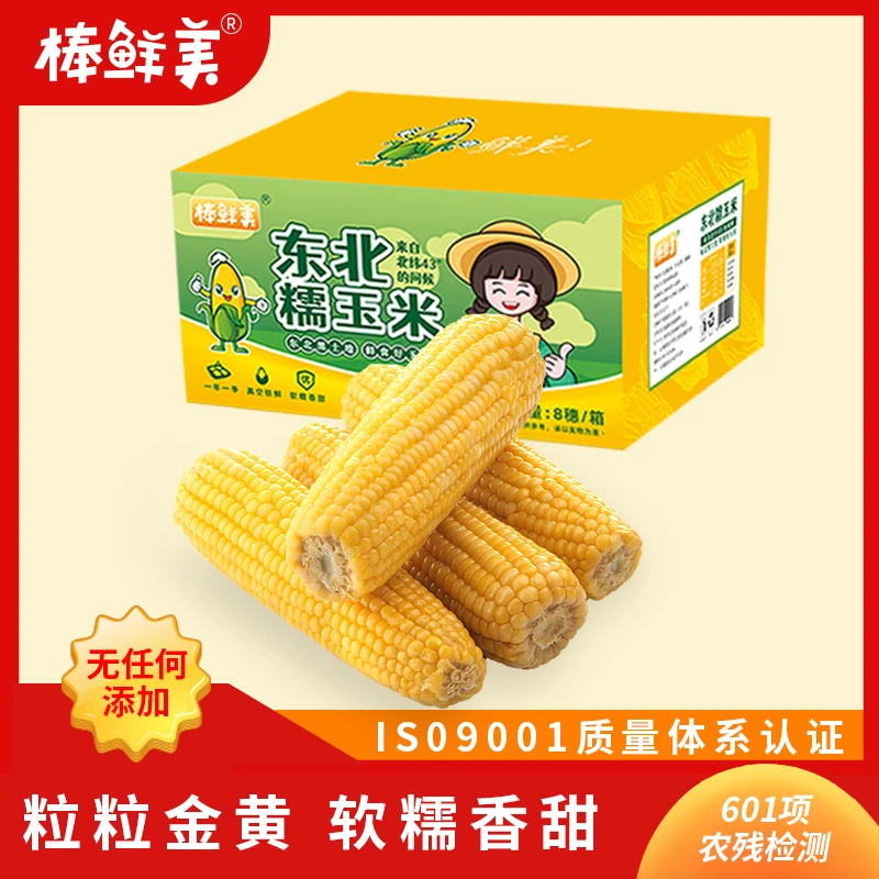 【棒鲜美玉米】东北黄糯玉米大棒8支260g以上软糯香甜低脂早餐代餐