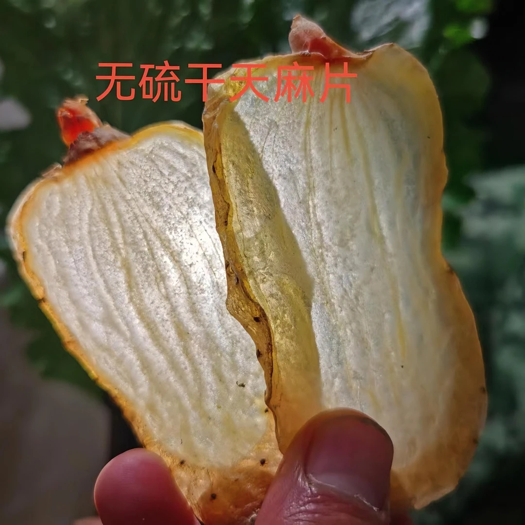 正宗云南昭通小草坝干片农产品500克