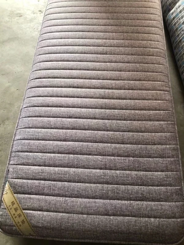 铂金棉加厚床垫，防滑耐用，硬度高，不易变形 卧室纯色家用