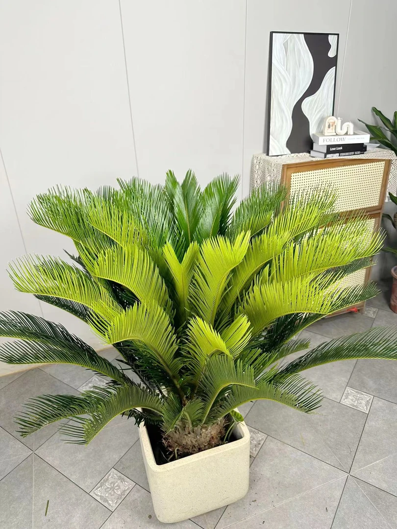 悦色铁树绿植原土种植袋新鲜发货室内外养护实物清新造型培植