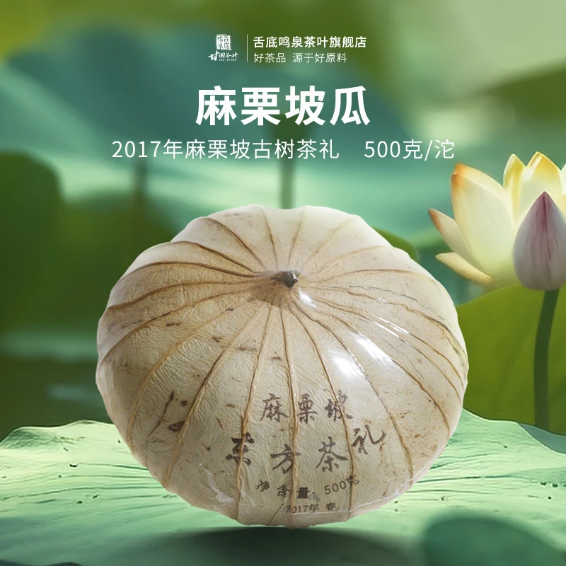 舌底鸣泉2017年云南古树文山麻栗坡荷叶瓜普洱生茶500g金瓜贡茶