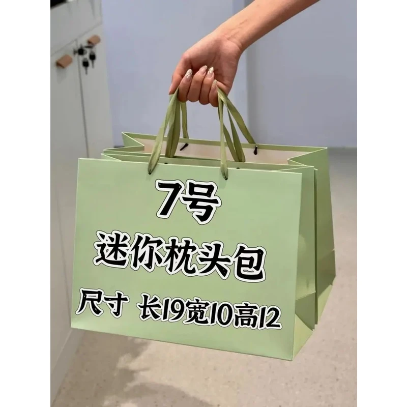 【7号】2024年新新新新款枕头包轻奢时尚