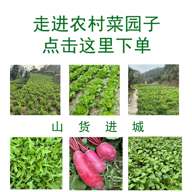 贵州农家生鲜 水果 产地直发