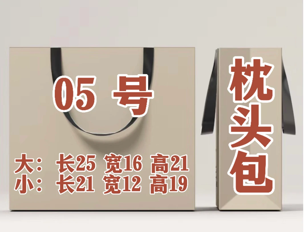 cc【5号】2024新款单肩网红休闲枕头包6556时尚