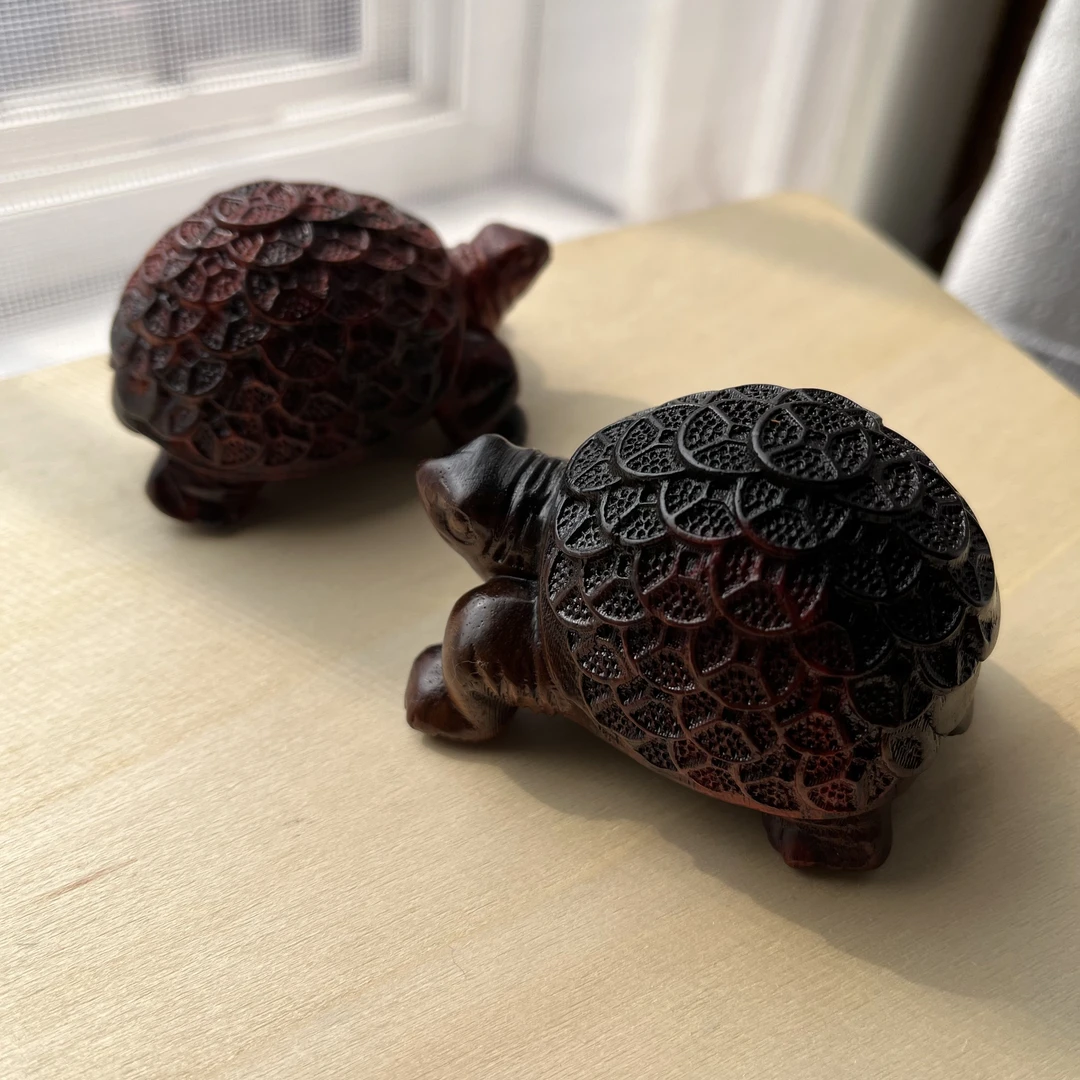 大红酸枝金钱龟一对 随机发 颜色花纹多样性