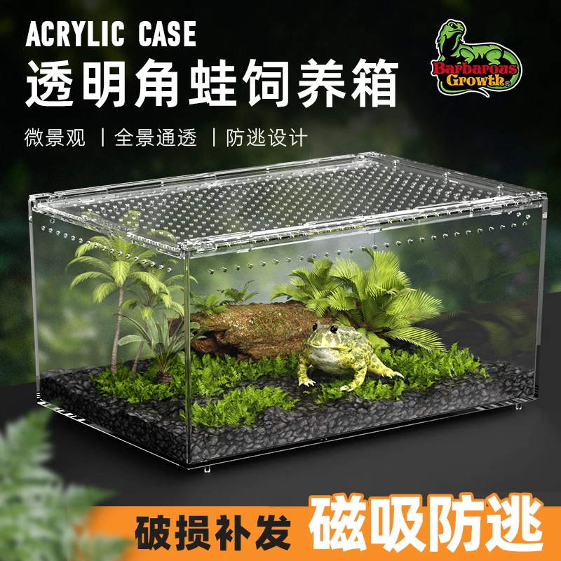 亚克力爬宠豹纹瘤尾守宫饲养箱鬃狮蜥蜴蛇爬虫蜘蛛蝎子角蛙饲养盒