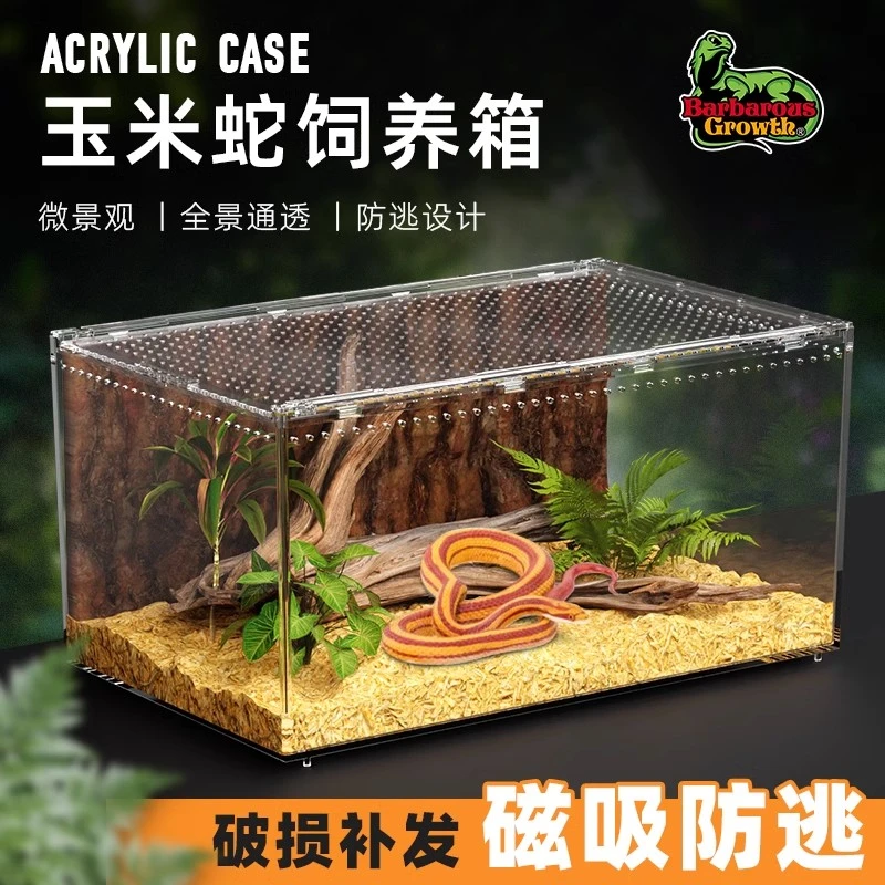 BG亚克力宠物蛇饲养箱养小蛇专用爬虫箱雨林造景生态缸爬宠饲养盒
