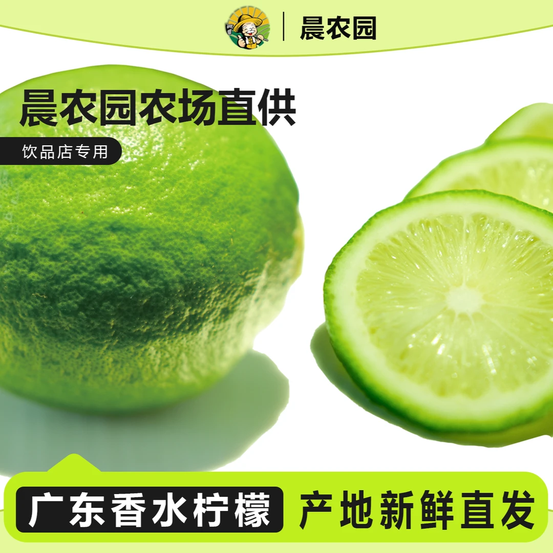 晨农园果园专供直发正宗广东香水柠檬水果奶茶店专用新鲜无籽柠檬