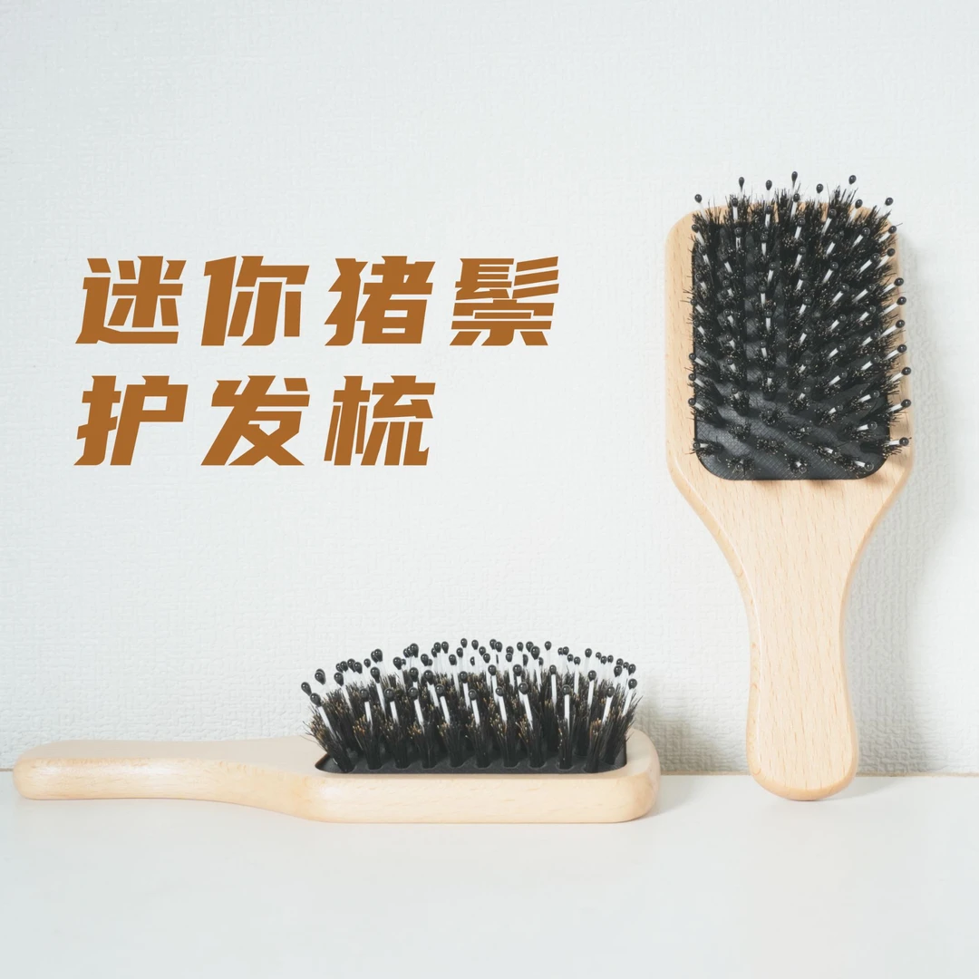 天然正宗小号黑猪鬃气垫按摩木梳子旅行便携款护发养发干枯毛躁用