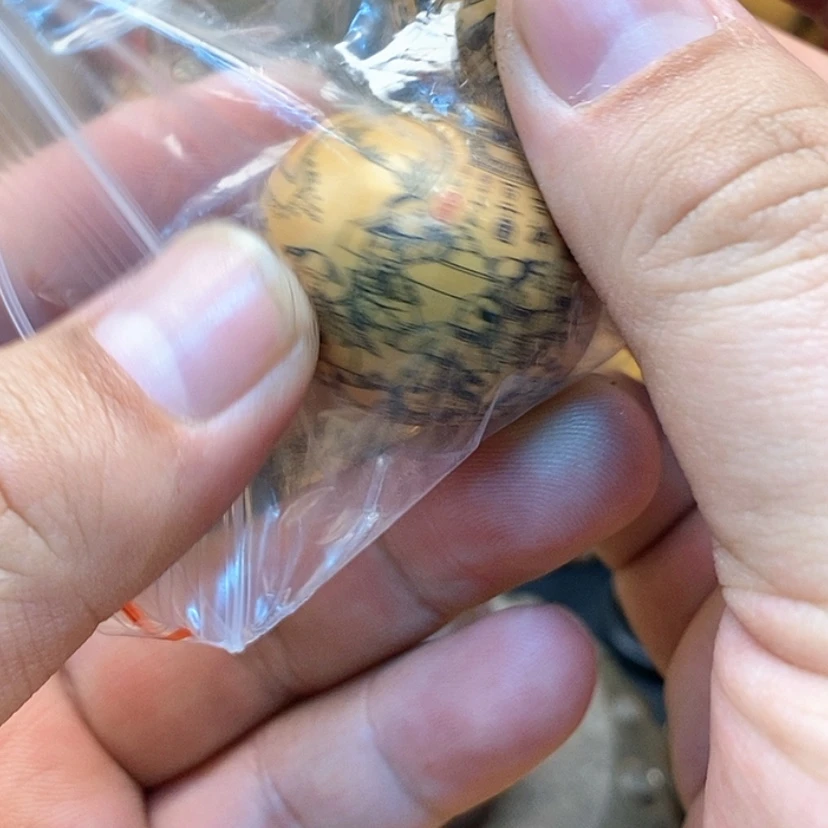 【闪购商品】天然葫芦丰**流
