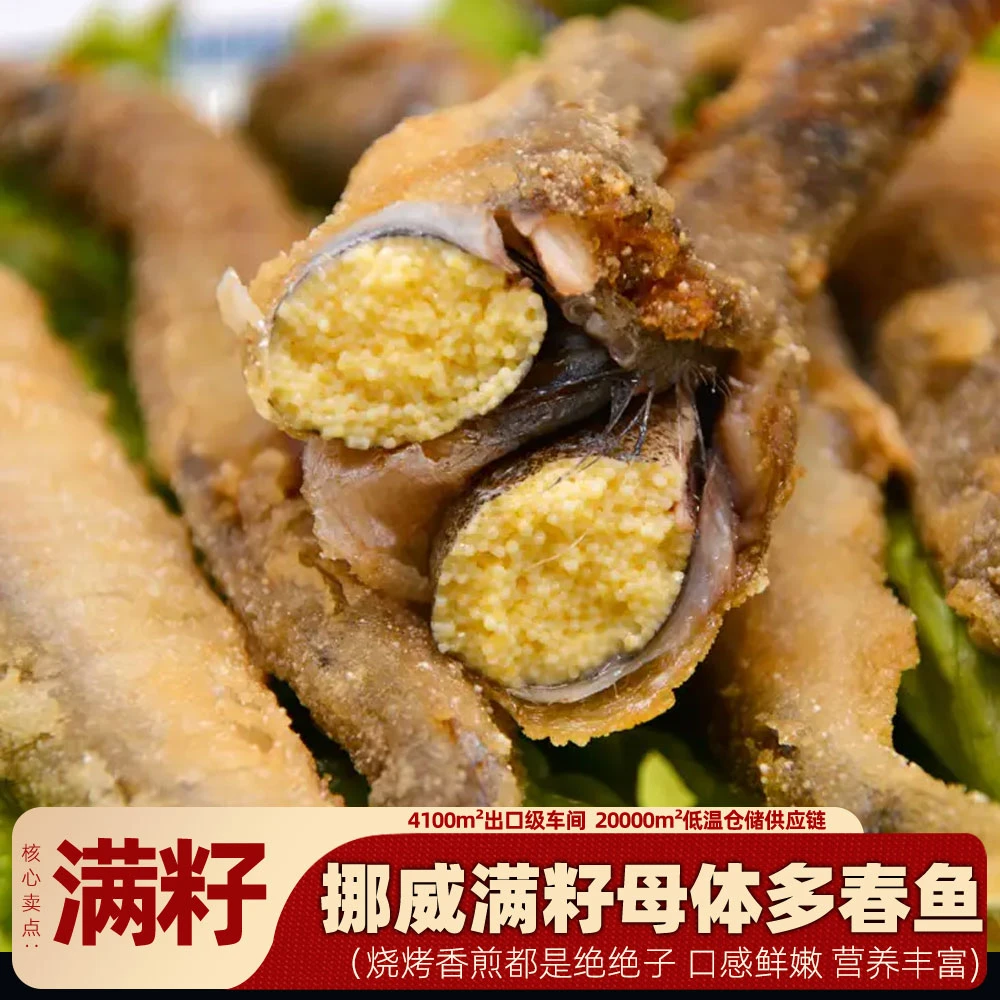 【源头工厂发货】母体满籽多春鱼烧烤食材新鲜海鱼500g/袋 老少咸宜