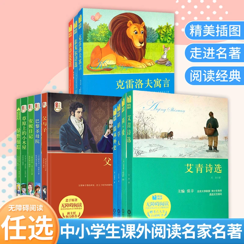 名著系列钢铁儒林外史柳林风声简爱海底两万里作文