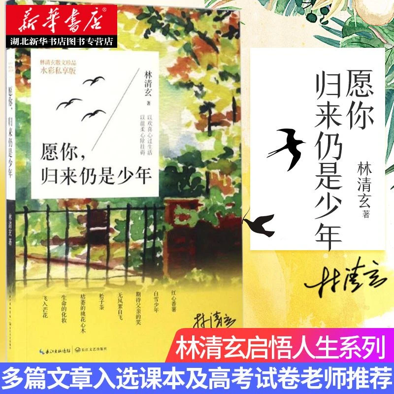 愿你归来仍是少年 全彩插图本 林清玄启悟人生系列 现当代文学散