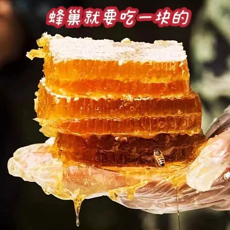 野生蜂巢蜜嚼着吃醇正古法采集酿造原生态蜂窝酿蜜块成熟老巢蜜