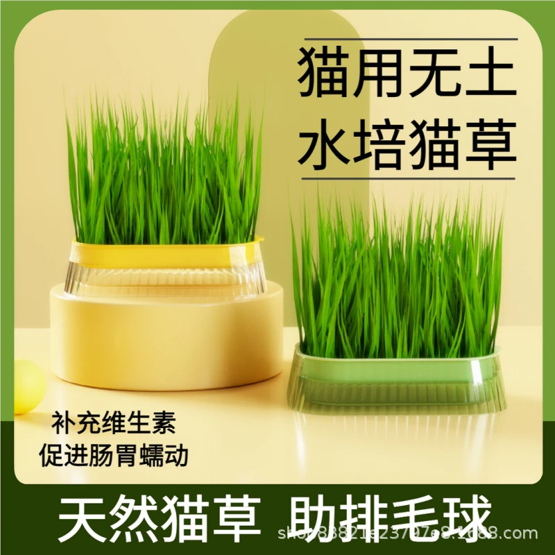 新款健康盆栽懒人无土水培种植盒小麦种子培育盘清洁营养严选多种