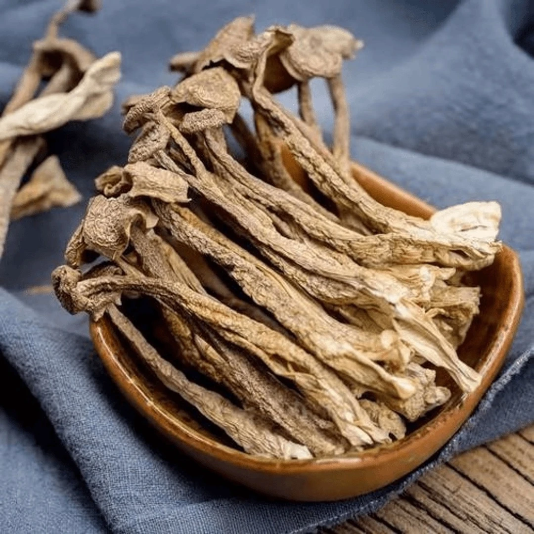 ［彝］鹿茸菇 彝家山货农产品