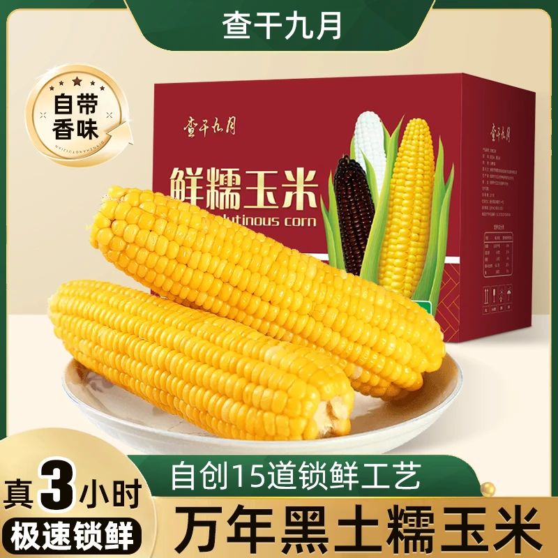 [到手10棒]24年东北头茬黄糯玉米香甜糯5斤以上（8棒+2棒试吃）