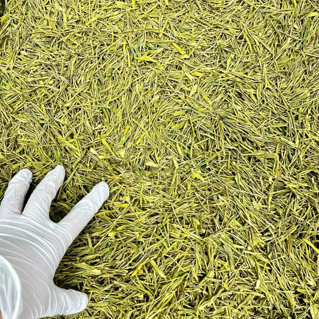 23年 新茶 冲粉福利款  黄金芽 黄金叶