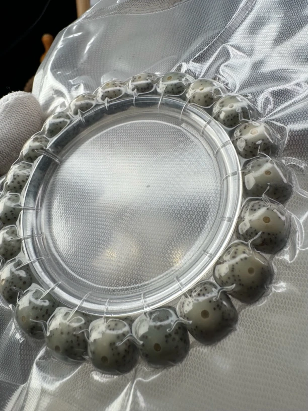 精品星月手串，大眼睛星点分布均匀，11*12