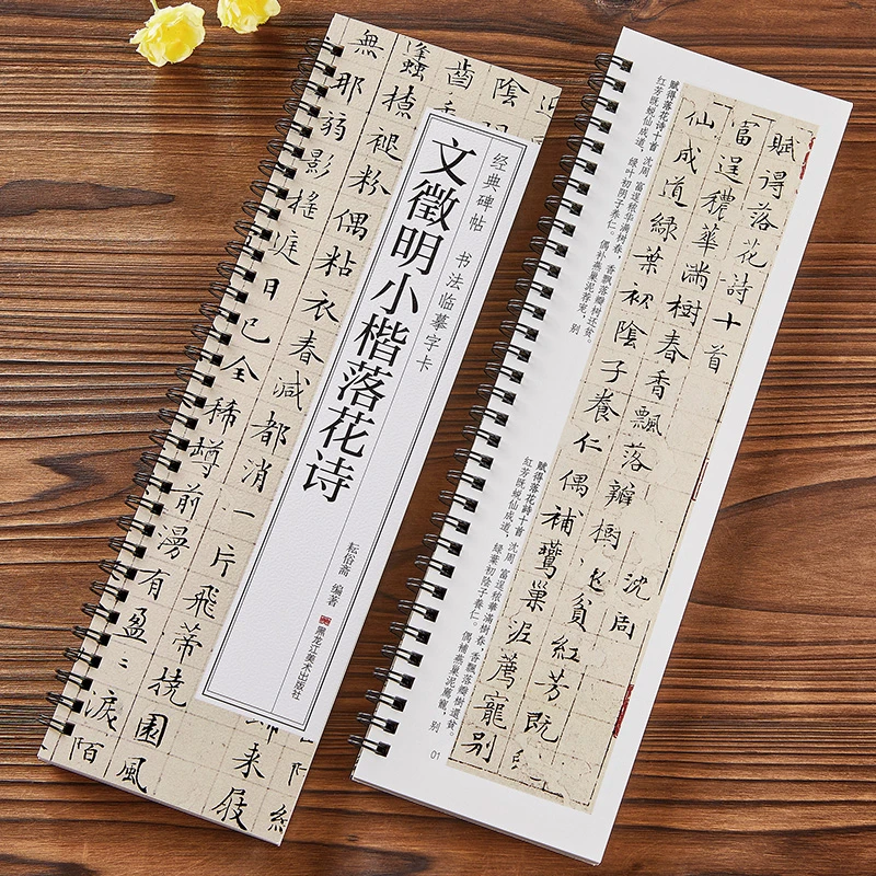 文徵明小楷落花诗 经典碑帖近距离书法临摹字卡 文征明落花诗册原