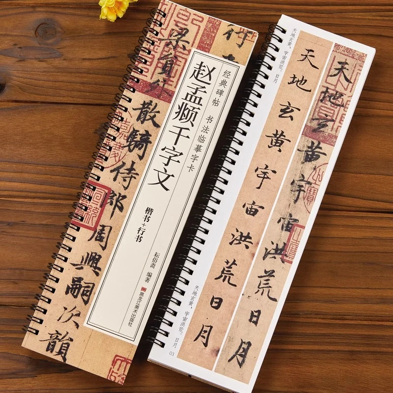 赵孟頫千字文 赵孟俯经典碑帖书法临摹字卡原大版墨迹本练字帖