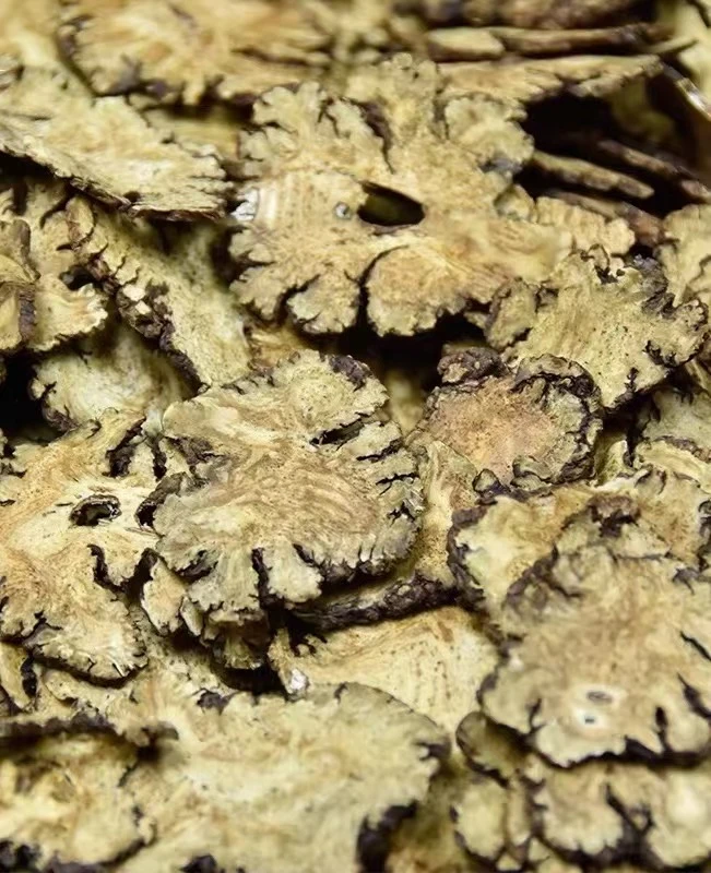 川穹 xiong 滋补 煲汤煮水 不是 当归