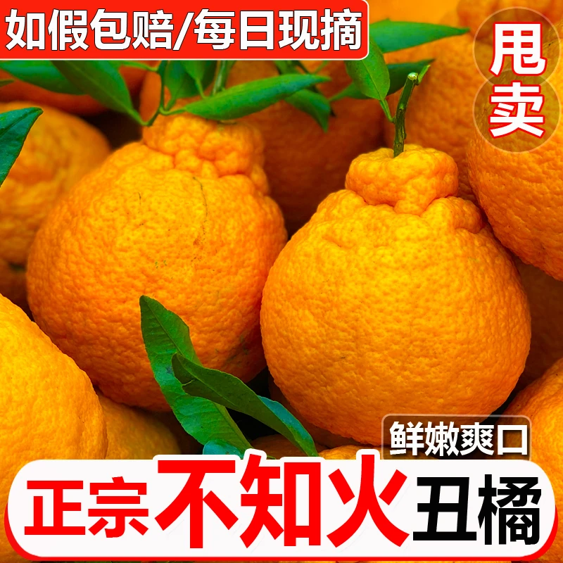 四川正宗丑橘不知火桔子4.5-8斤丑柑橘子当季新鲜水果现摘现发